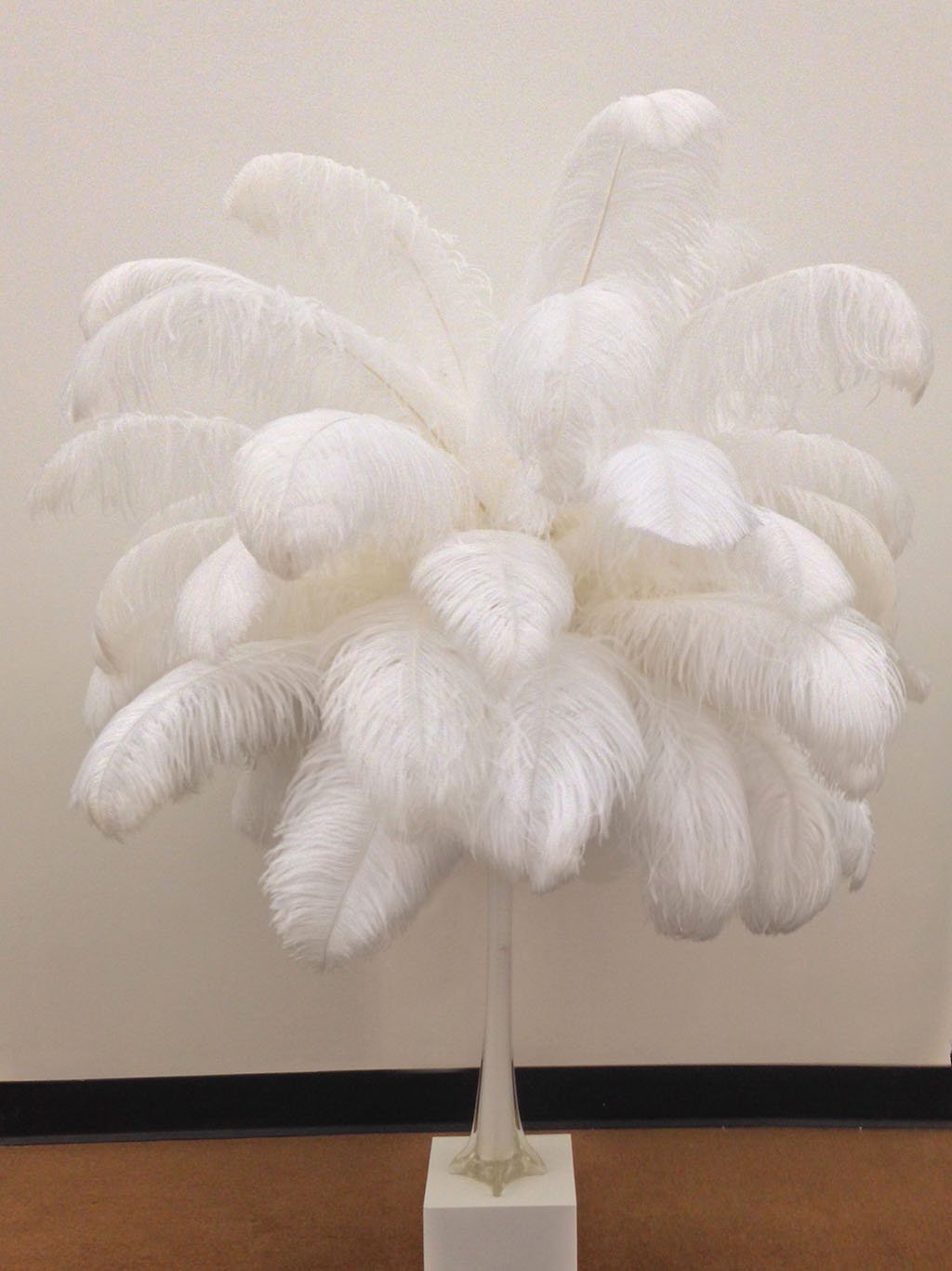 Premium Black Ostrich Feathers 24-30