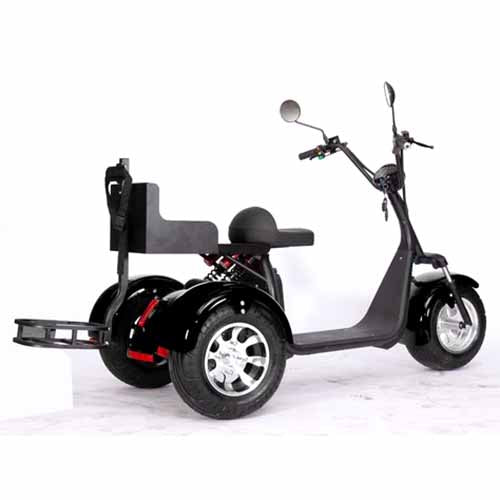 2000W 60V Electric Fat Tire Trike - 3 Wheel Scooter Moped Bike with Golf Rack, Similar to CityCoco Bike CT 3G - Perfect for Commuting, Golf Course Transport & Urban Adventure