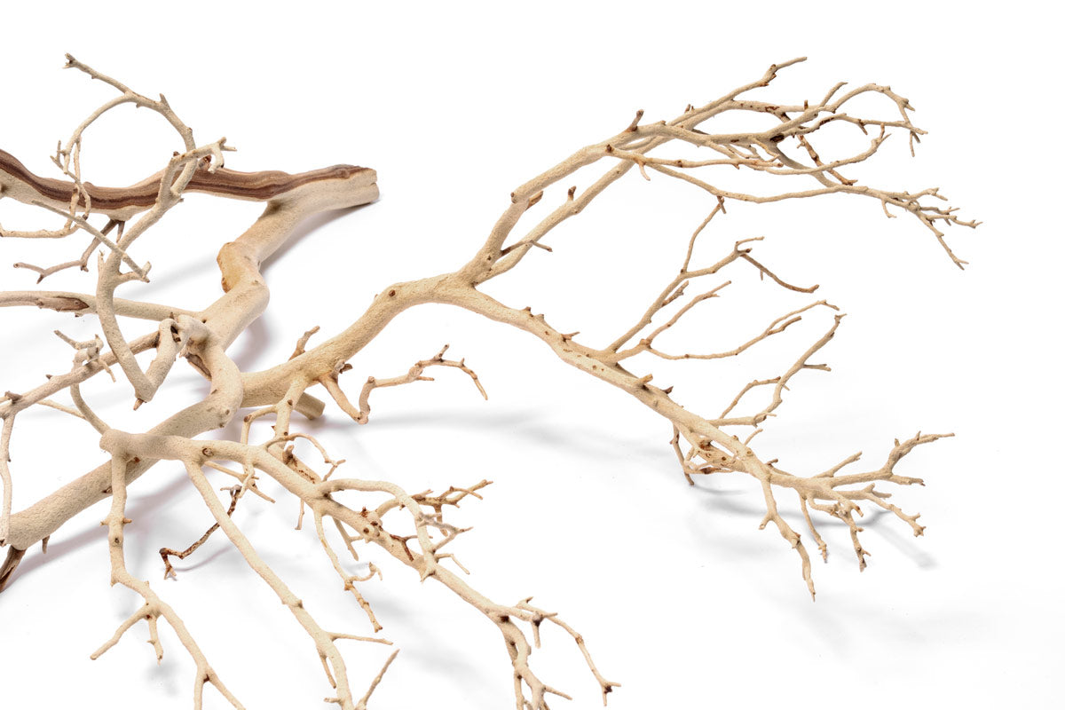 Natural Sandblasted Manzanita Driftwood for Aquarium Decor - Unique Hardwood Branches for Fish Tanks, Reptile Habitats & Home Decoration