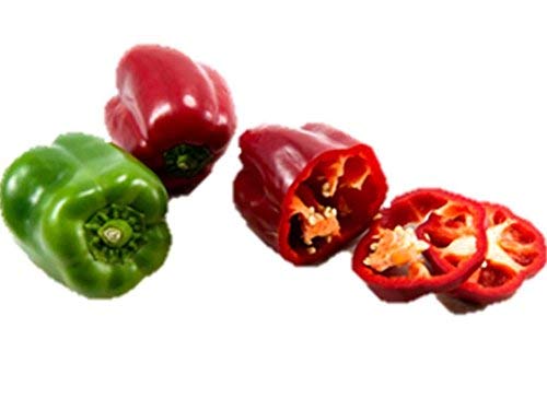 Heirloom Sweet Bell Pepper B61 Seeds - Non-GMO, 2,850 Seeds (1 oz Packet) for Home Gardening, Vegetable Planting & Organic Farming | Perfect for Raised Beds, Containers & Backyard Gardens