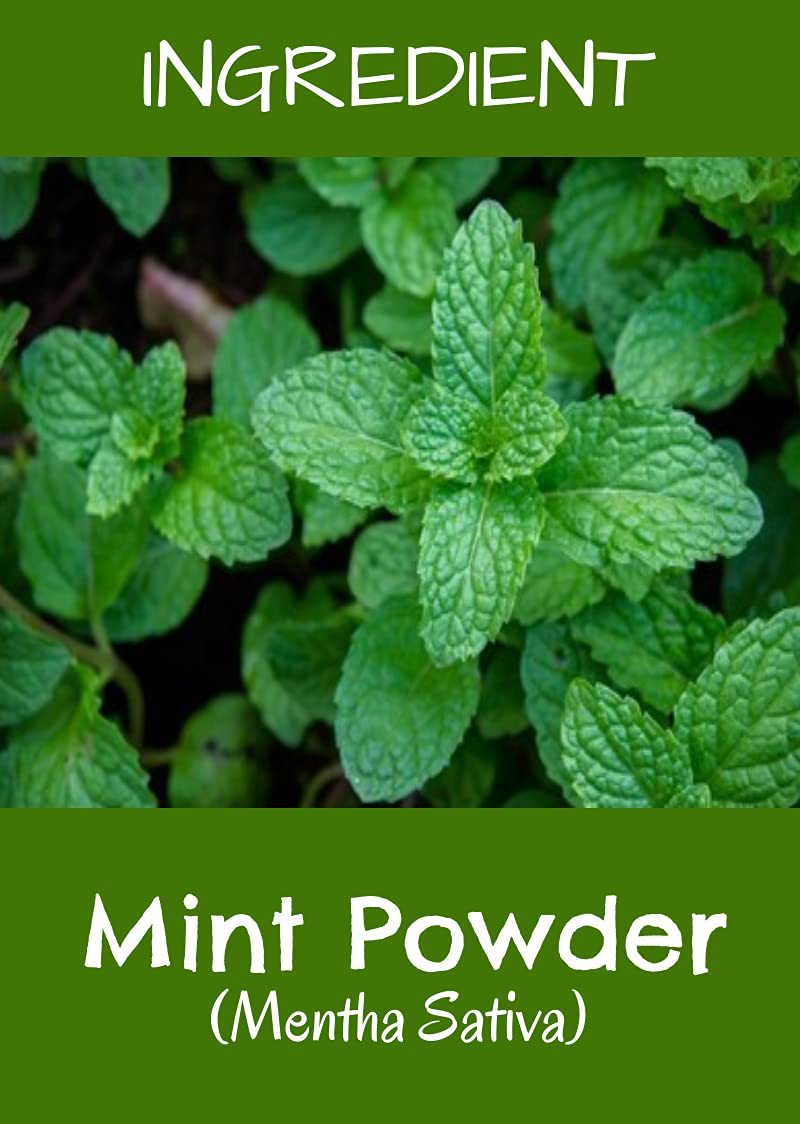Organic Mint Powder for Face & Hair - 100% Natural Pudina Powder for Skin Care & Hair Growth | No Added Chemicals | 100g | MR Ayurveda | Use for DIY Face Masks, Hair Treatments & Ayurvedic Remedies