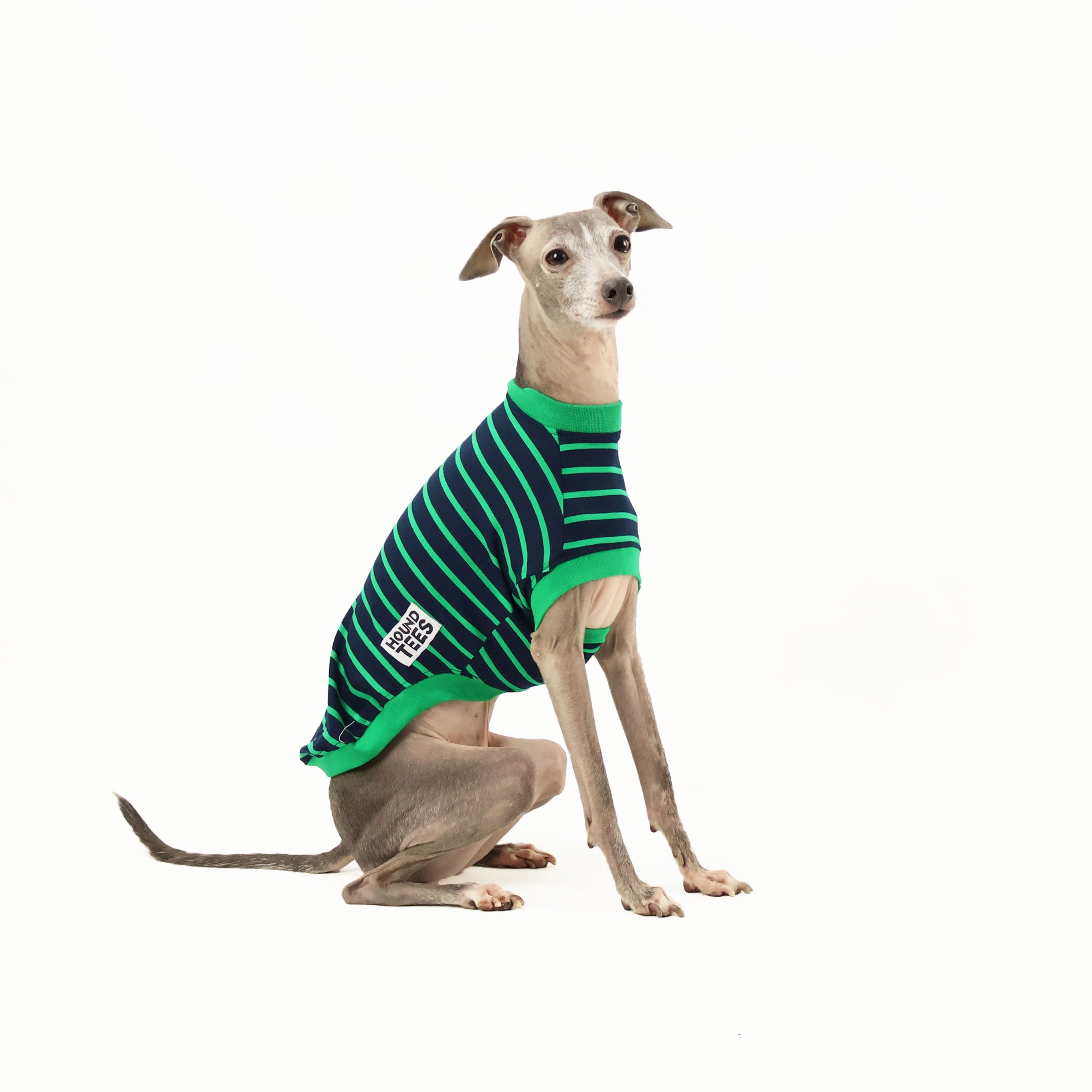 Kermit Italian Greyhound Sleeveless Hound Tee - Comfortable Dog Lover Shirt for Summer, Casual Wear & Pet Owner Gifts