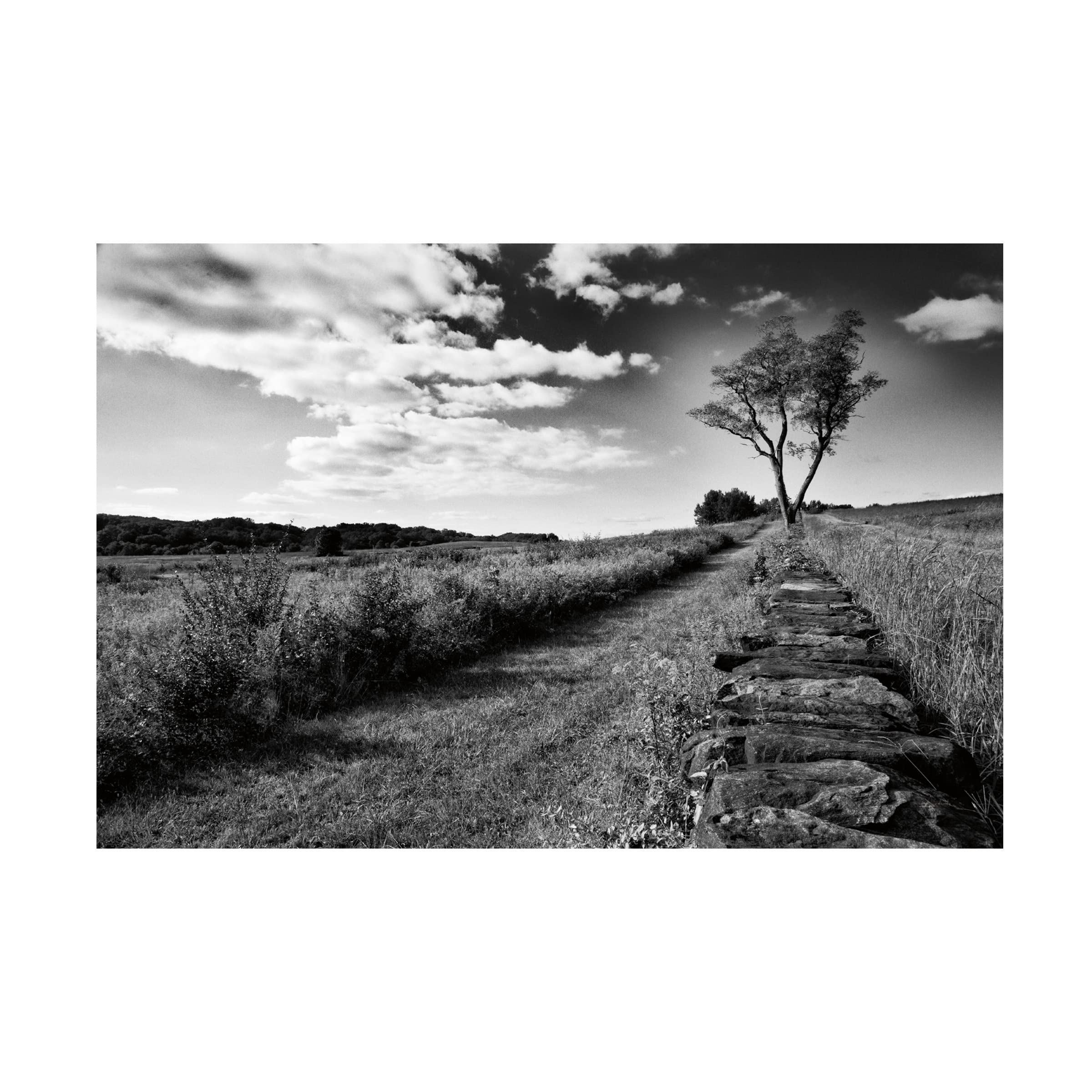 Trademark Fine Art 'Stone Wall' Canvas Art by Aledanda - Elegant Textured Wall Decor for Living Room, Bedroom & Office