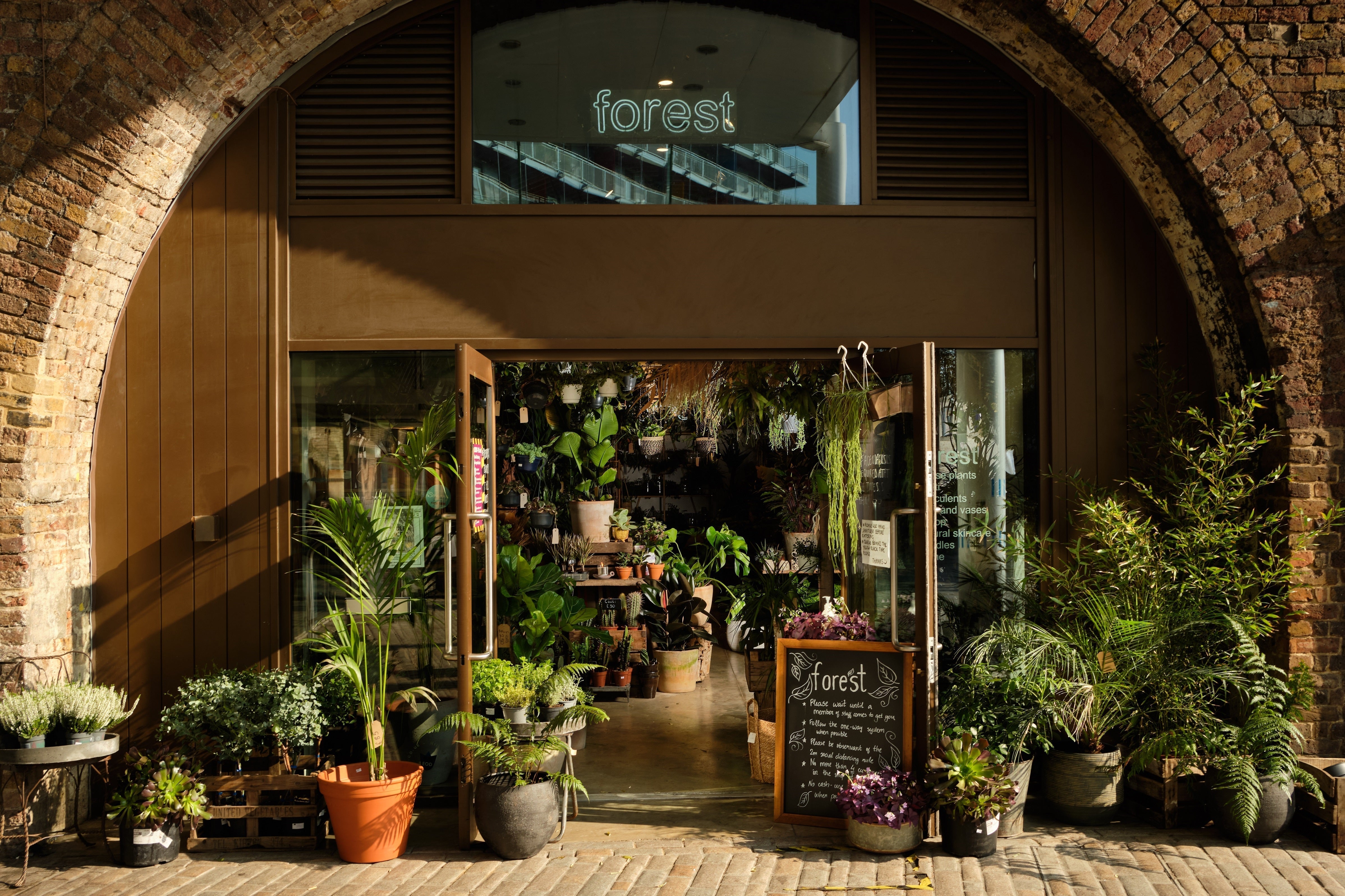 DIY Dried Flower Wreath Workshop - Creative Home Decor Class | November 19th in Deptford | Perfect for Holiday Decorations, Wedding Centerpieces & Wall Art