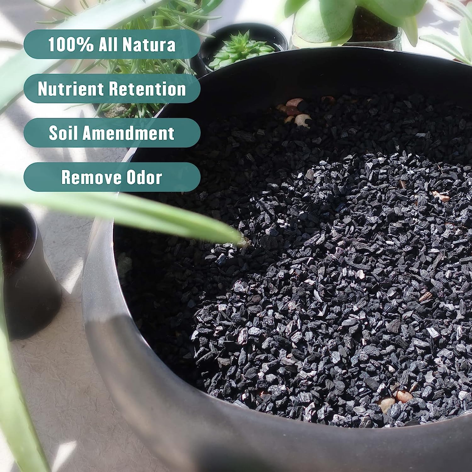 Legigo 2QT Horticultural Charcoal - Premium Hardwood Biochar Soil Amendment for Plants | Activated Charcoal for Terrariums, Indoor Plants, Orchids & Succulents | Improves Drainage & Soil Aeration for Healthier Plants
