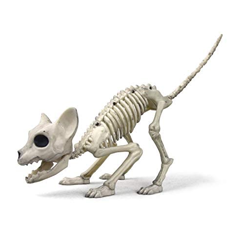 Supremask Skeleton Cat Halloween Decor - Realistic Plastic Crouching Cat Skeleton for Spooky Home & Yard Decoration - Perfect for Halloween Party, Haunted House & Gothic Decor