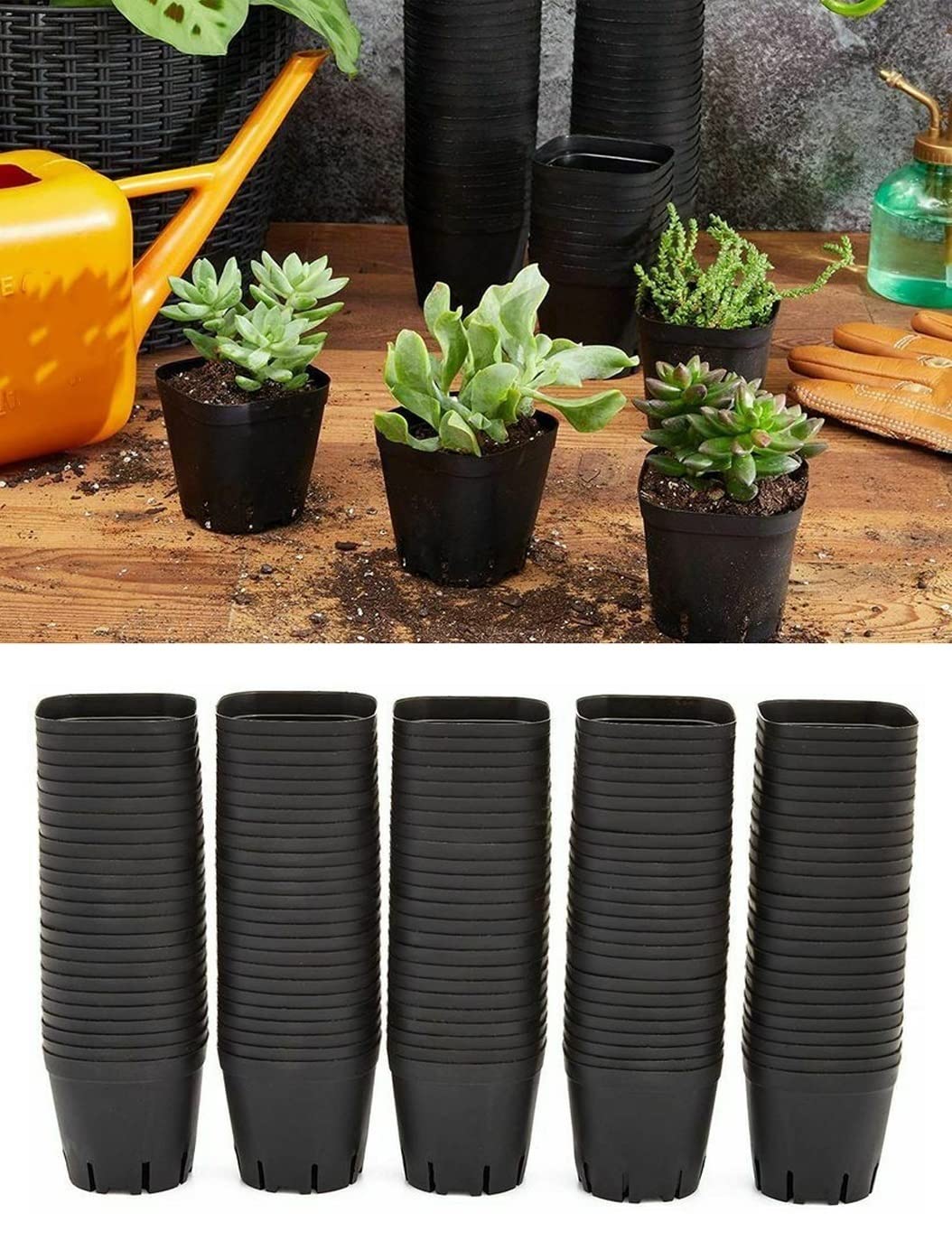150 Pack 2.6 Inch Square Seed Starter Pots - Small Plastic Plant Pots for Seedlings, Mini Cactus & Succulent Growth | Indoor Gardening, Home Planting, Greenhouse Starter Trays (Black)