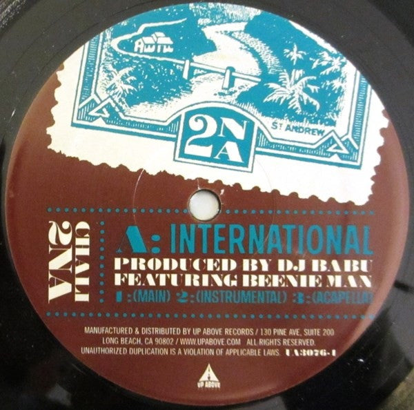 Chali 2na - International / Controlled Coincidence Vinyl LP | 12