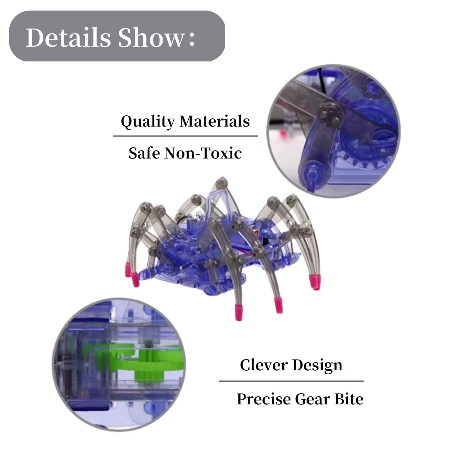 DIY Spider Robot Building Kit - STEM Educational Science Toy for Kids, Assemble Your Own Robotic Spider - Perfect for STEM Learning, Science Projects & Creative Play