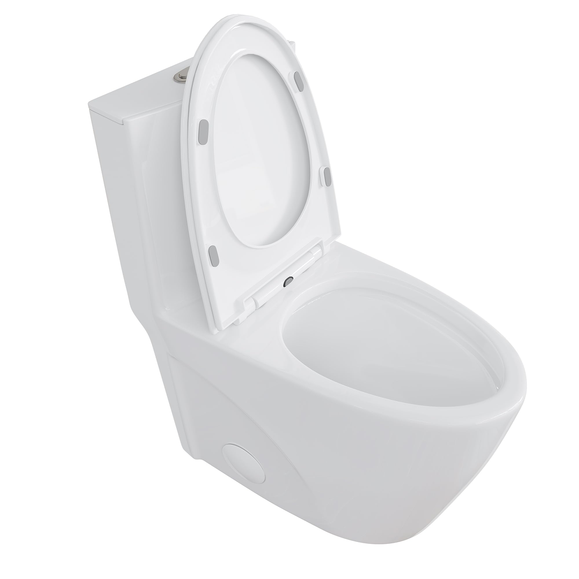 Eridanus Elongated One Piece Toilet - 1.1/1.6 GPF Dual Flush, 12