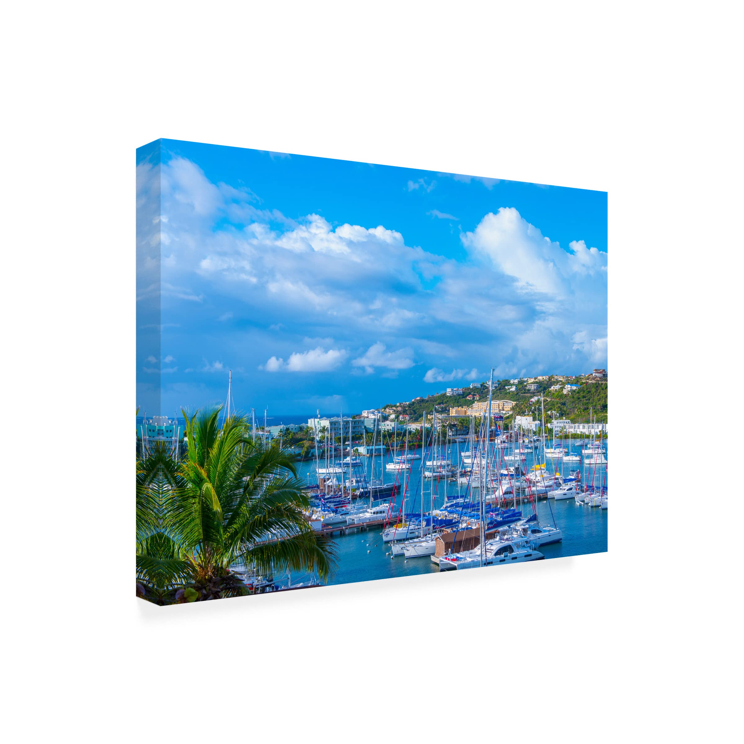 Jack Reed 'Oyster Pond Bay St Maarten' Canvas Wall Art Print - Tropical Beach Landscape Painting for Living Room, Bedroom & Office Decor