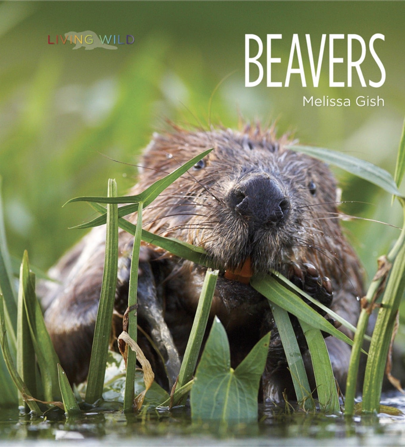 Beavers Book: 978-1-60818-414-9 - Wildlife Education & Nature Exploration for Kids & Adults - Perfect for Classroom Learning & Outdoor Adventure Enthusiasts