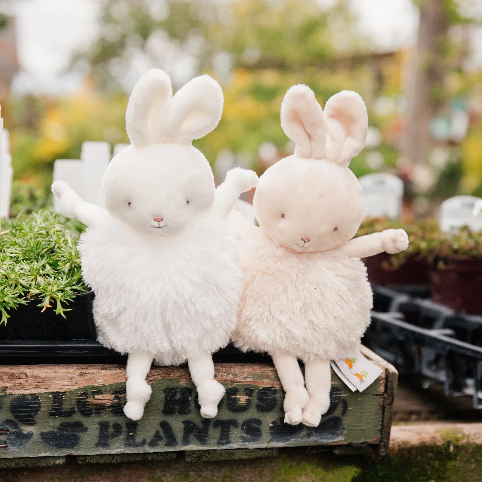 Roly Poly Bun Bun White Bunny Plush Toy - Soft Stuffed Animal for Kids, Nursery Decor, Gift for Baby Shower & Easter