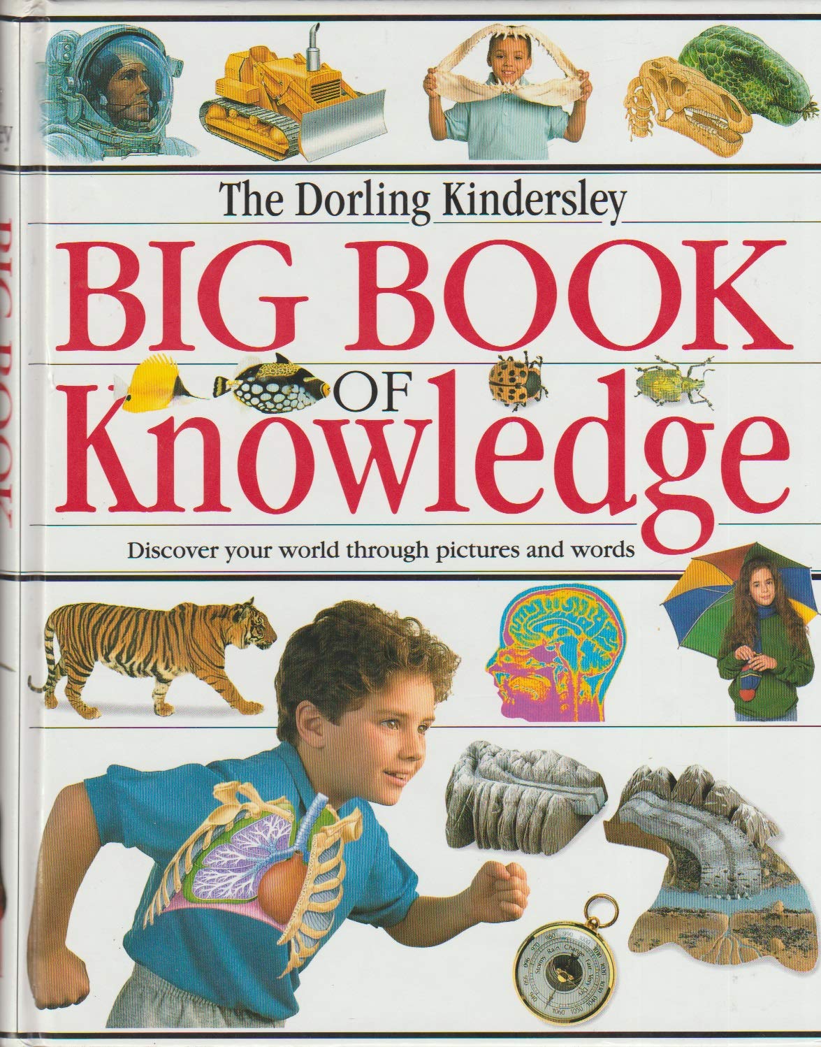 The Big Book of Knowledge - Comprehensive Encyclopedia for Kids & Adults | Perfect for Home Learning, School Projects & Family Reading Time