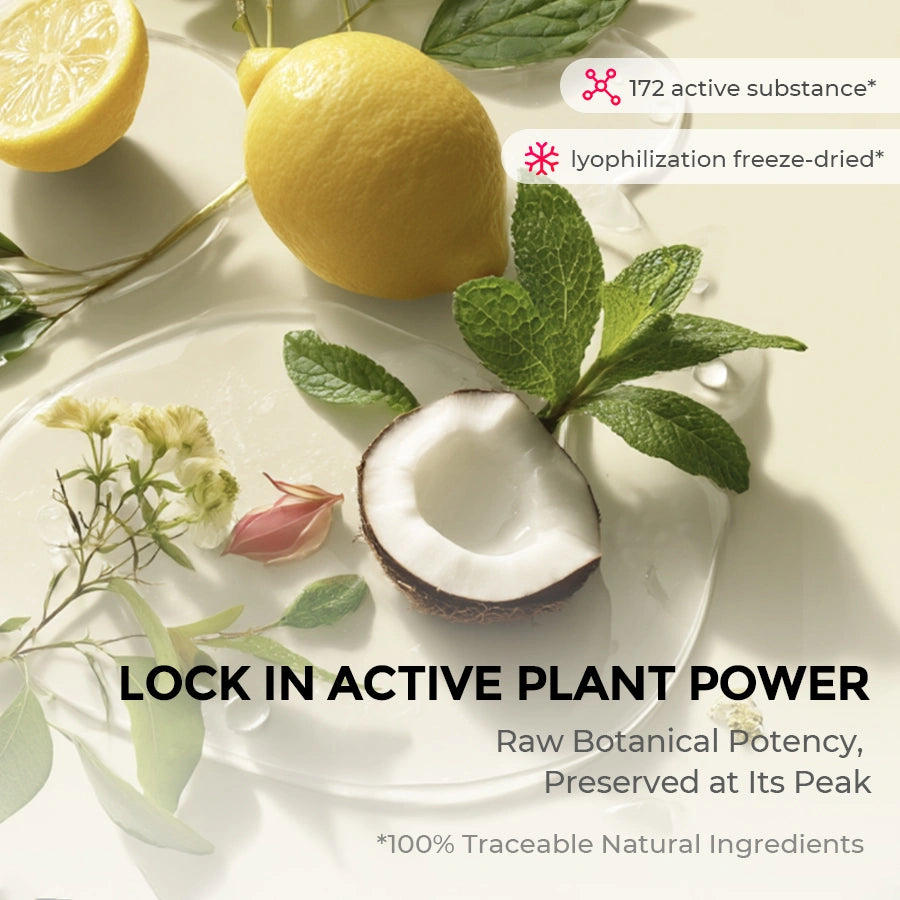 TYMO Purifying Shampoo Powder for Hair Detox & Scalp Care - Dry Shampoo for Oily Hair, Travel-Friendly & Vegan Hair Cleanser - Perfect for Gym, Camping & On-the-Go Use