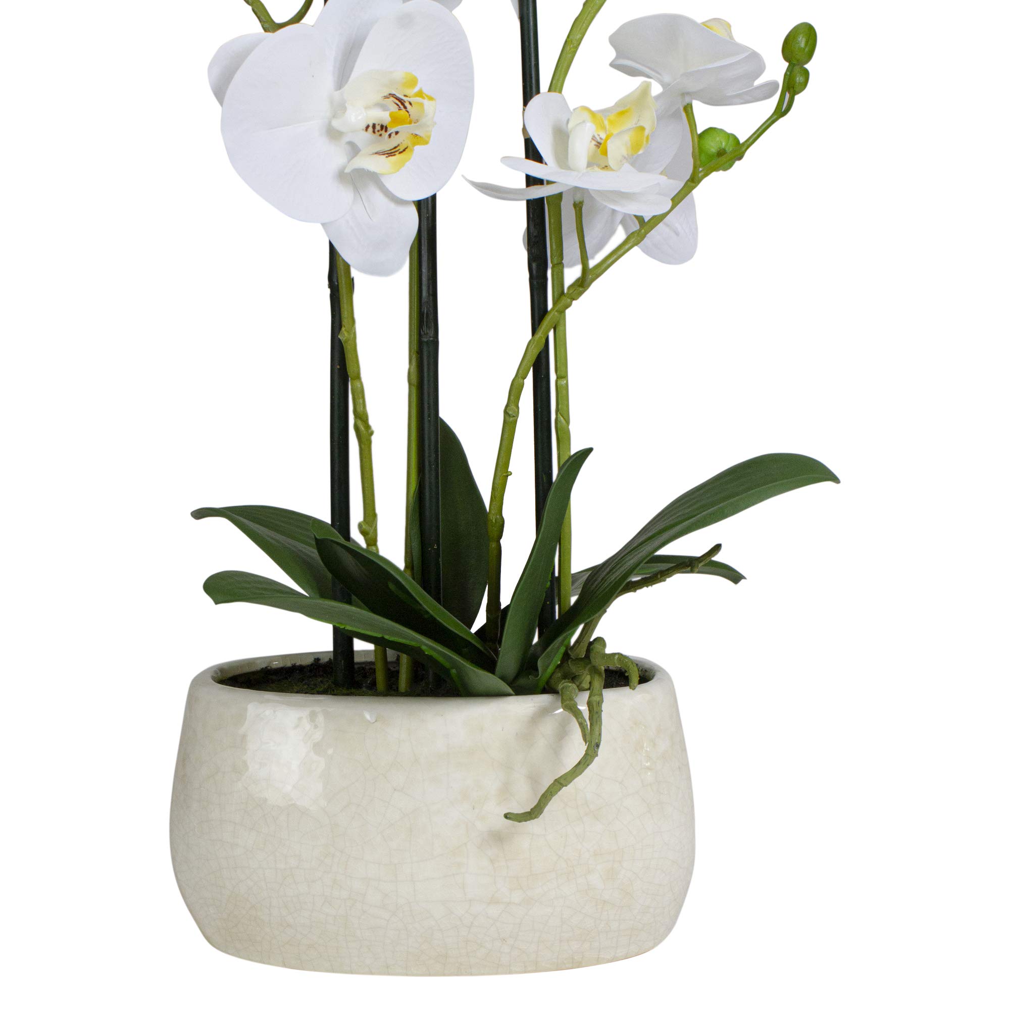 Premium Real Touch™ Artificial Orchid Plant in White Oval Pot - 22