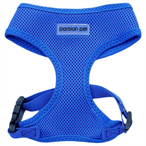 Bright Blue