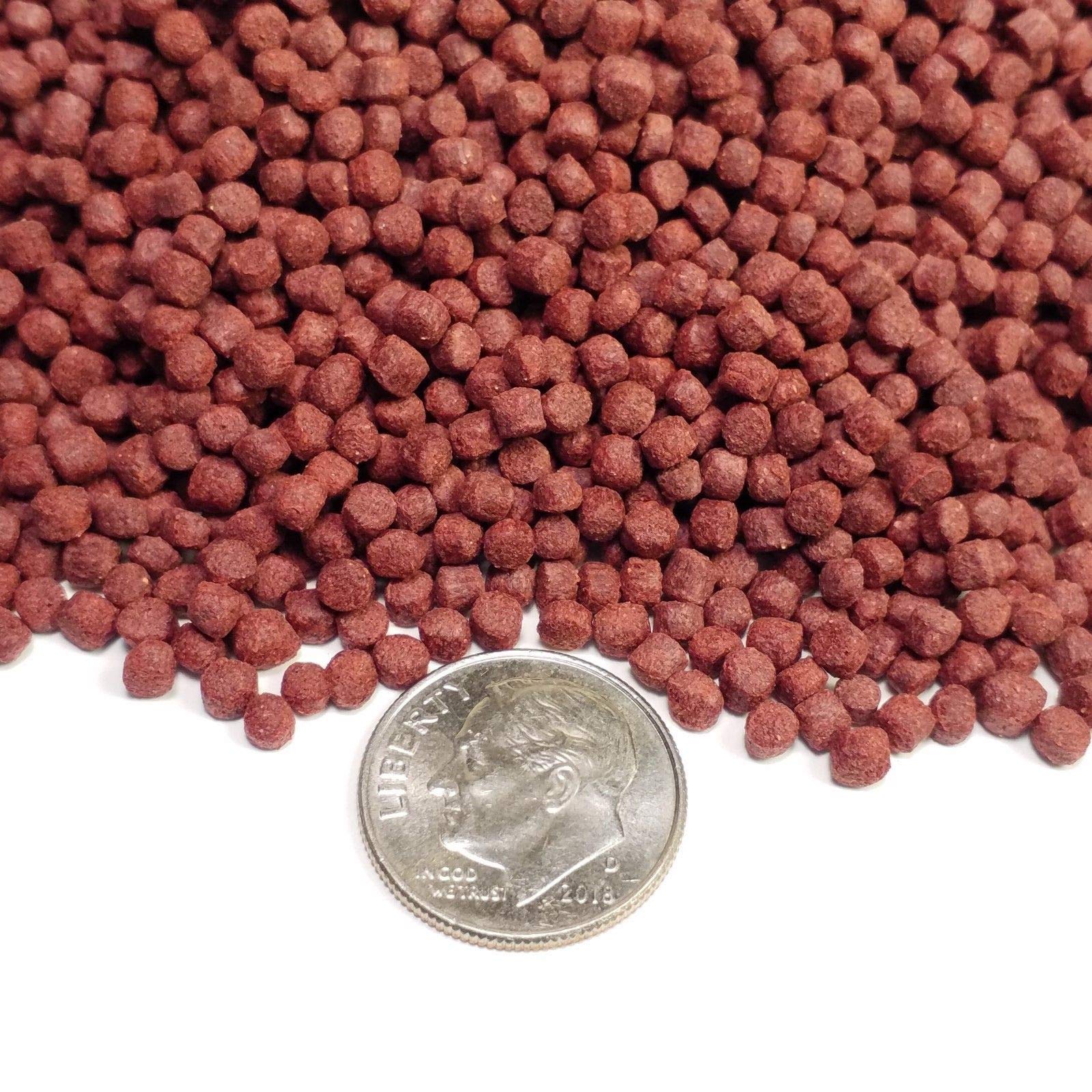 Premium 2.5mm Ultra Intense Color Enhancing Sinking Pellets for Discus, Cichlids & Tropical Fish - 7-10 Day Supply | Enhances Vibrant Colors | Ideal for Aquarium, Fish Tank & Pond Use