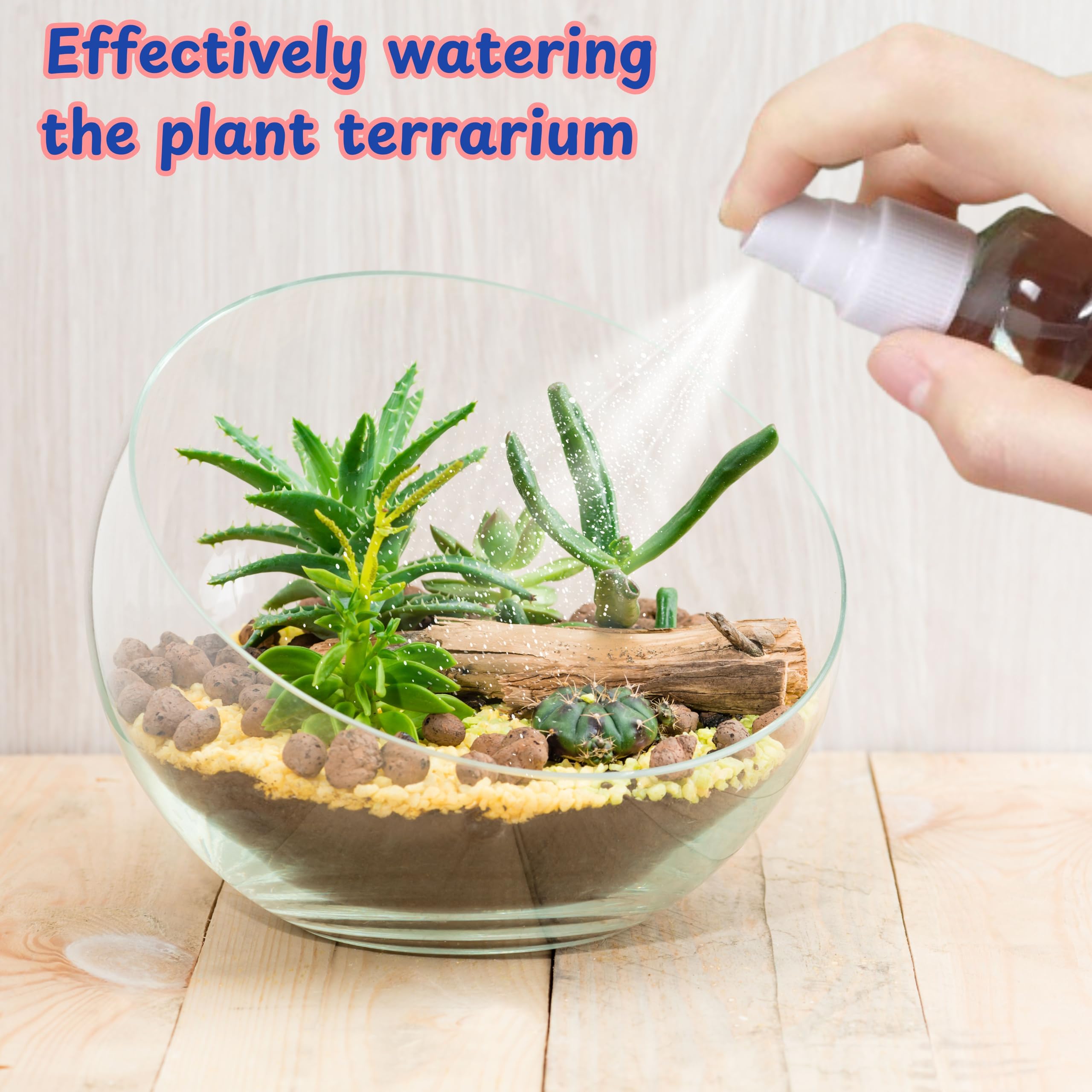 Premium Jumping Spider Enclosure Starter Kit - Tarantula Habitat with Accessories, Snail Terrarium & Moss Growing Tools | Mini Plant Grow Kit & Reptile Tank Supplies for Pet Spiders, Insects & Small Reptiles | Perfect for Home, Classroom & Nature Observation (Blue, Small Size)