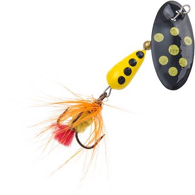 Black Yellow Spotted Fly