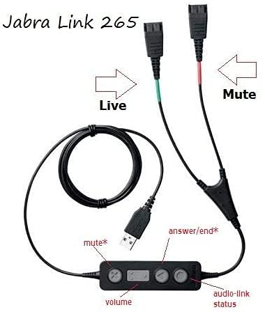 Headset World USA™ USB Training Supervisory Bundle - 2 Biz 1500 Duo QD Headsets with USB Cable for Call Centers & Remote Work | PC & Softphone Compatible