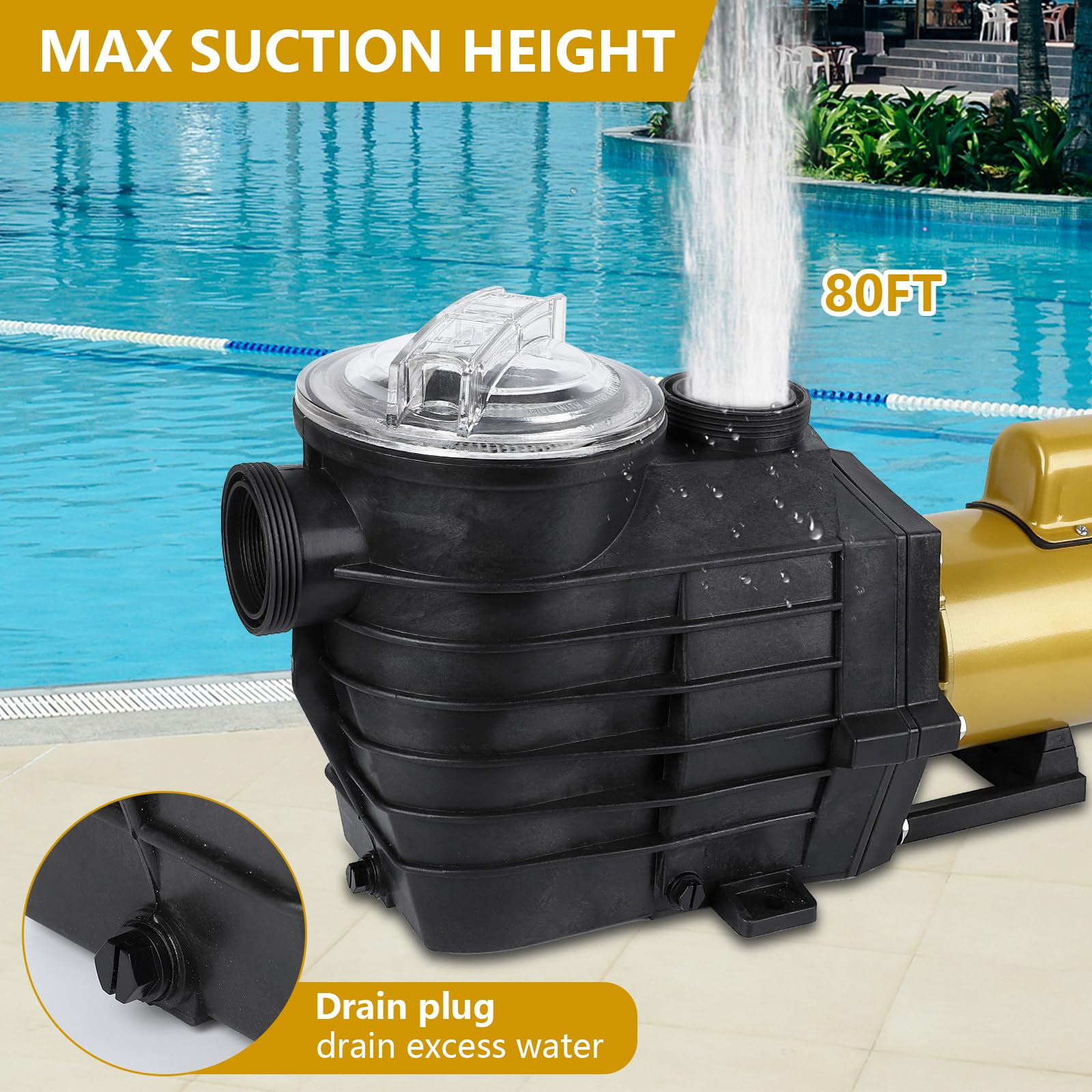 **3HP Dual Speed Swimming Pool Pump - 8896GPH High Flow, 115V/230V, Self-Priming, Energy Efficient & Quiet - for In-Ground & Above-Ground Pools with Filter Basket & Drain Plug - Perfect for Backyard, Residential, and Commercial Pool Maintenance**