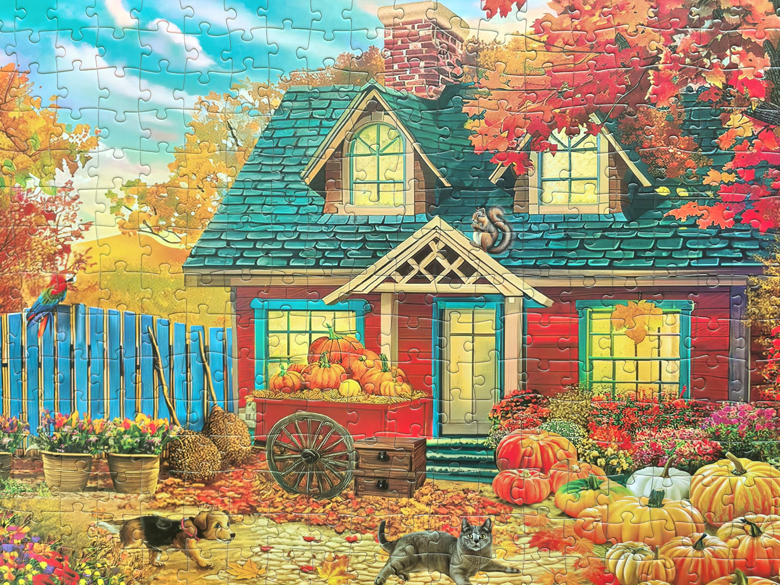 300-Piece Large Jigsaw Puzzle for Adults, Seniors & Kids - Autumn Pumpkin Harvest Halloween & Fall Theme - Perfect for Family Bonding, Stress Relief & Seasonal Decor