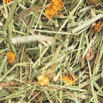 Premium Timothy Hay with Marigolds - 24oz Natural Rabbit Food for Small Pets | Nutritious Forage for Rabbits, Guinea Pigs & Chinchillas | Perfect for Daily Feeding & Dental Health