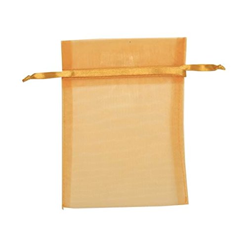 JAM PAPER Sheer Gift Bags - Medium 5