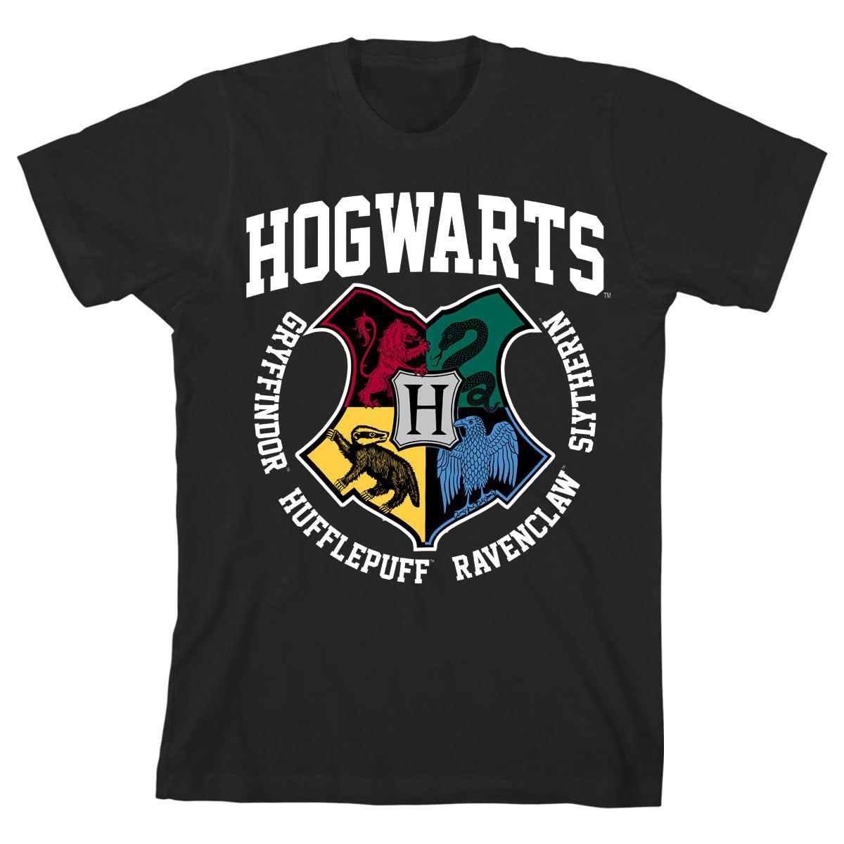 Harry Potter Hogwarts Houses Pride Black T-Shirt for Toddler & Youth Boys - Perfect for Halloween Costumes, School Spirit Days & Harry Potter Themed Parties