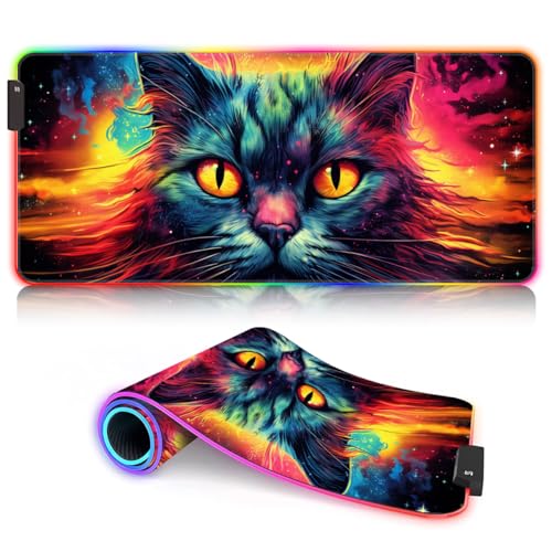 a05-Fantasy colorful cat