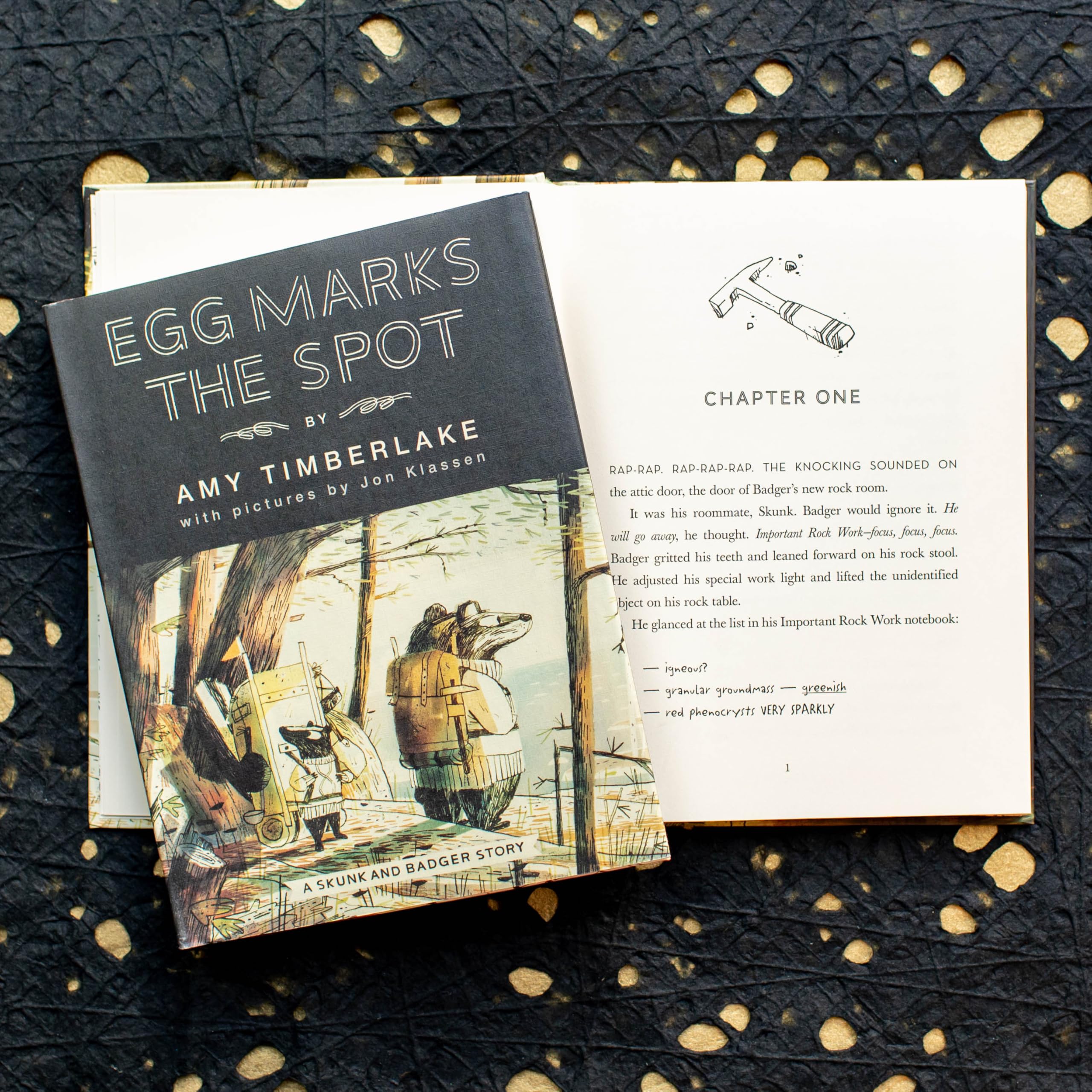 Egg Marks the Spot: A Skunk and Badger Story (Skunk and Badger Book 2) - Children's Adventure Chapter Book for Bedtime Reading & Classroom Storytime