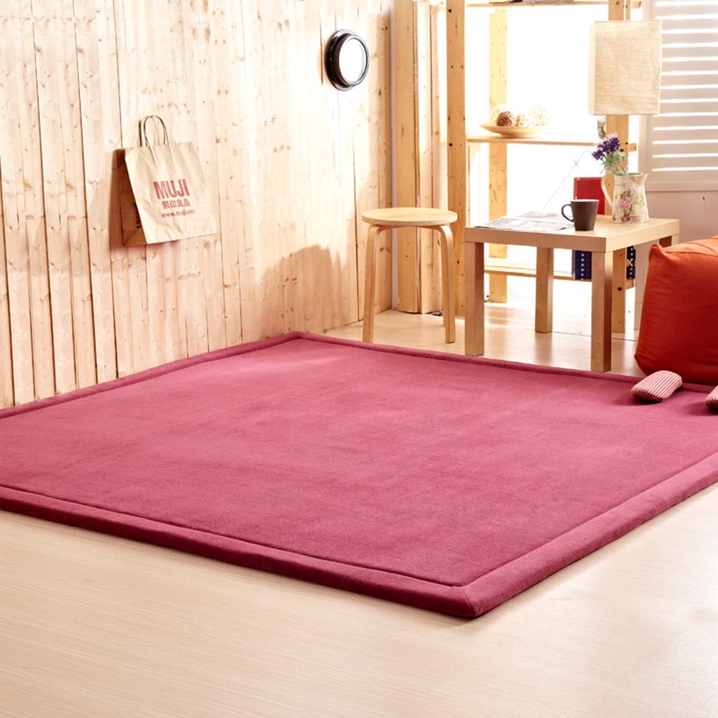 Soft Coral Fleece Area Rug 6.2'x6.2' - Non-Slip Rectangular Living Room Carpet for Bedroom, Nursery & Home Decor - Modern Indoor/Outdoor Runner for Kids Play Area & Cozy Spaces