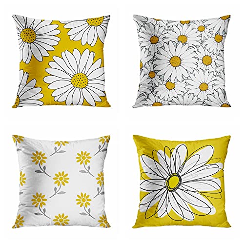Daisies