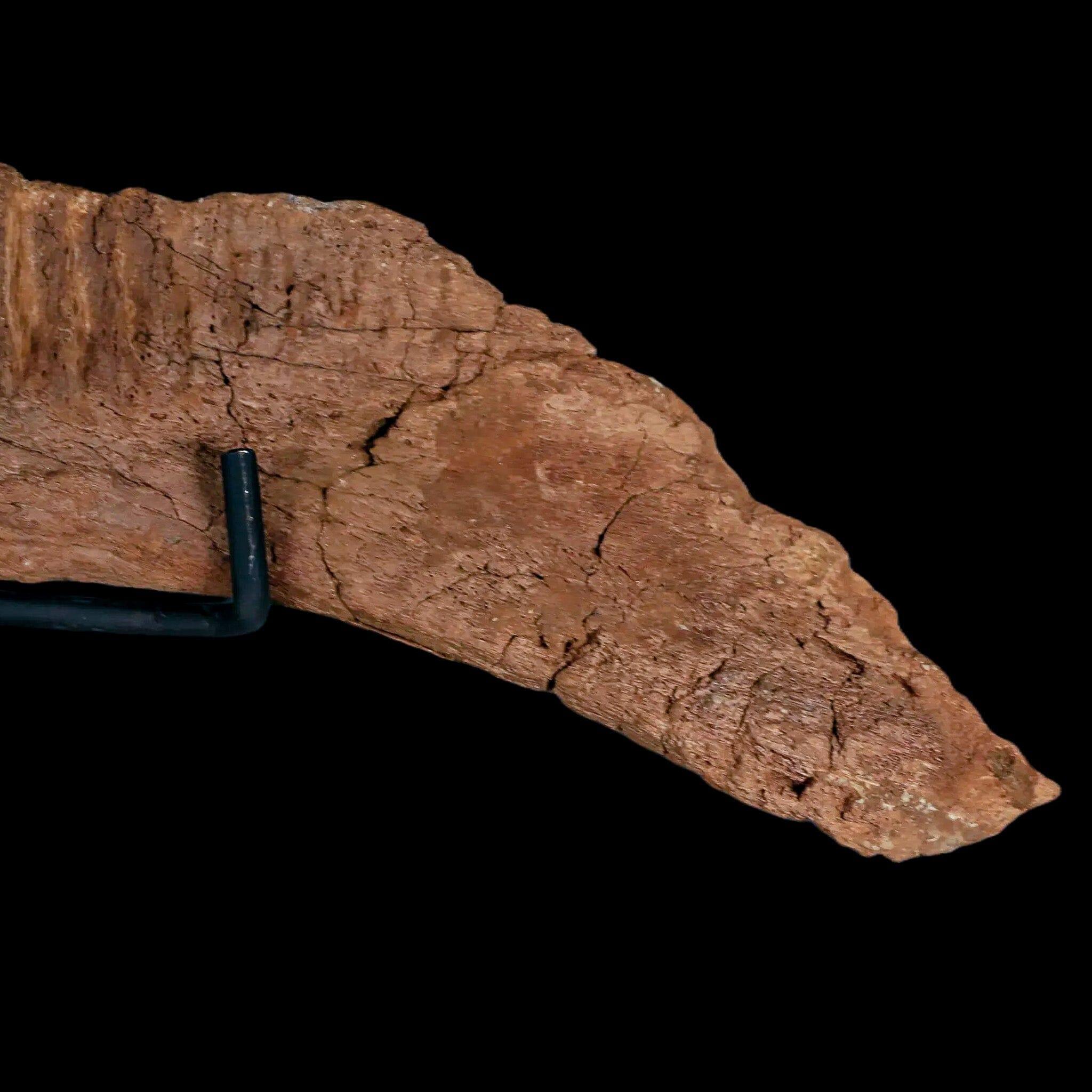 11.5
