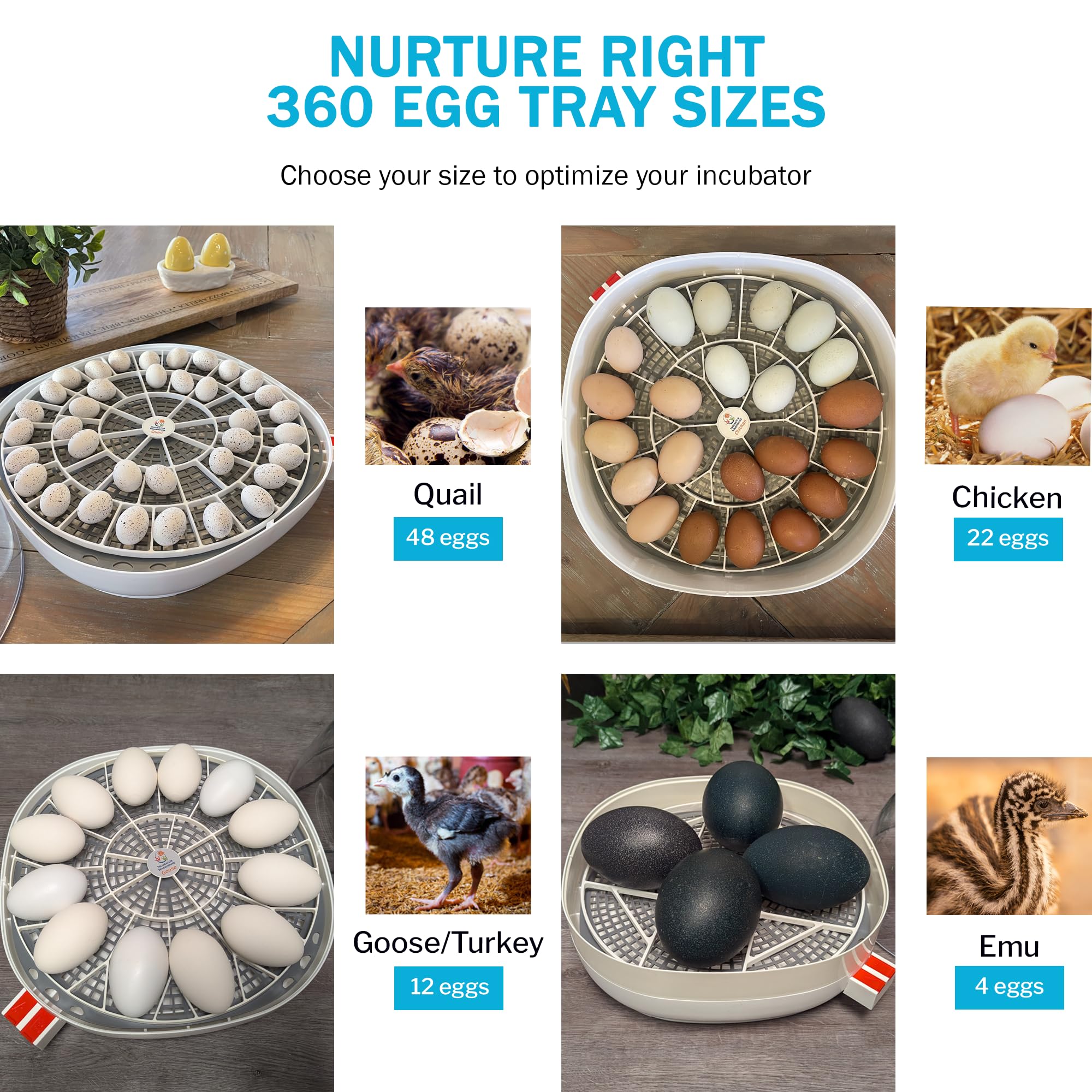 Durable Egg Trays for 11 Large Eggs - Goose/Turkey/Emu Egg Holder - Compatible with Nurture Right 360 Egg Incubator - Hand Washable Chicken Egg Keeper (Various Sizes) - Perfect for Poultry Farming, Egg Hatching & Farm Fresh Storage