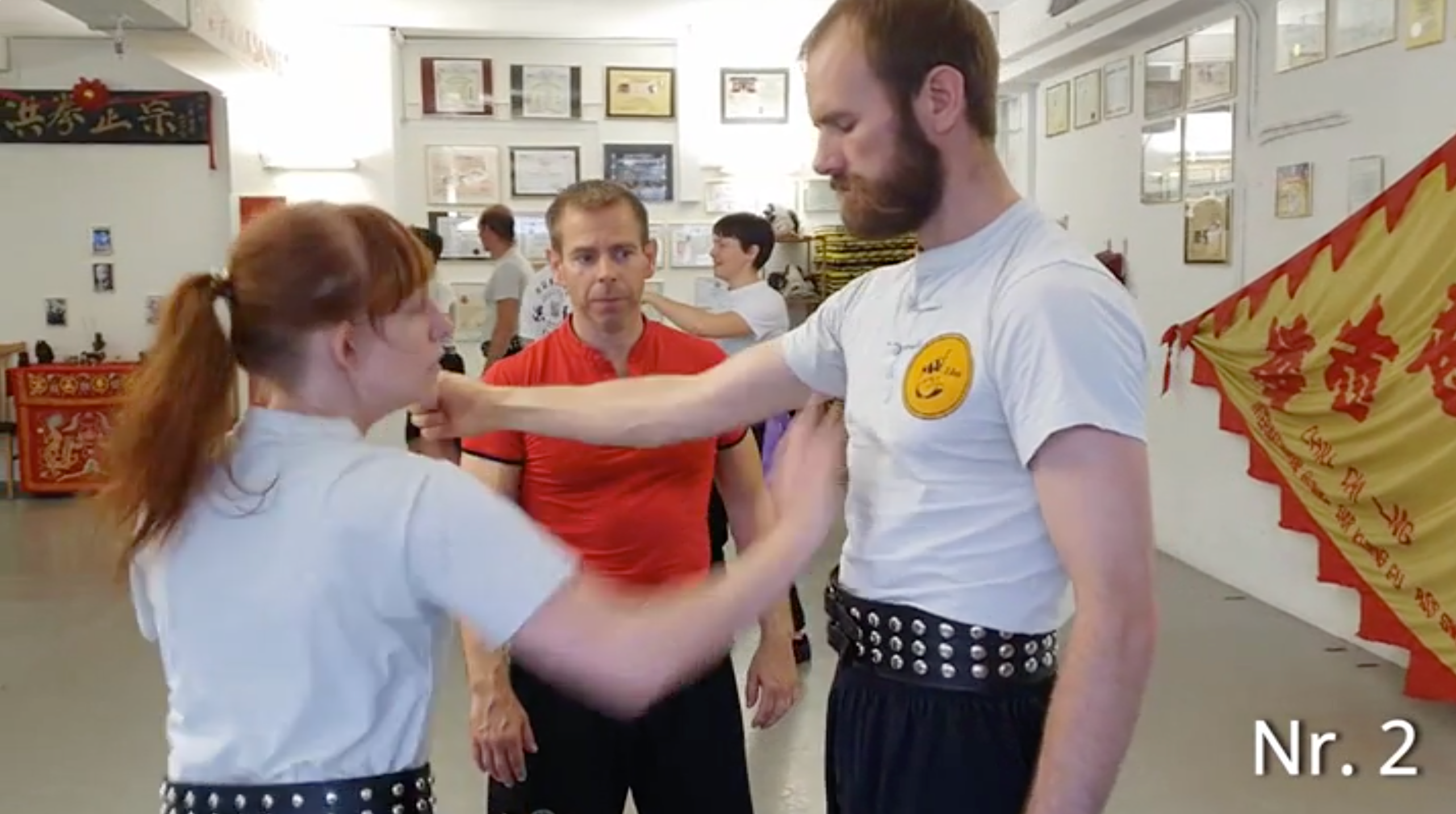 Authentic Bak Hok Pai White Crane Kung Fu Instructional DVD by Master Martin Sewer - Learn Traditional Chinese Martial Arts for Self-Defense, Fitness & Spiritual Growth