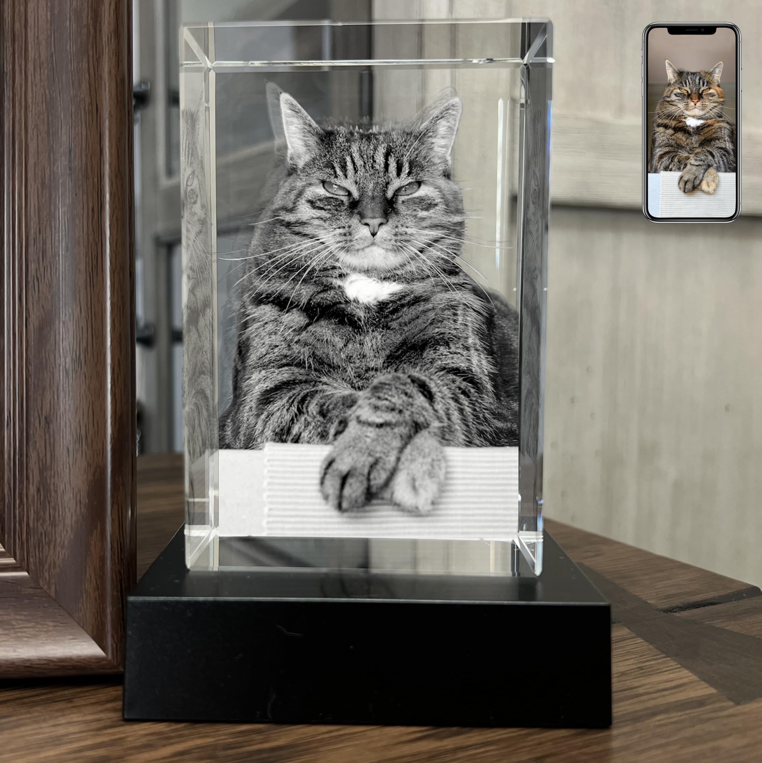 Personalized Pet Memorial Gifts for Dogs & Cats - Custom Laser Engraved Crystal Photo Keepsake with Gift Box (Large Portrait) - Perfect for Sympathy Gifts, Pet Loss Comfort & Memorial Decor