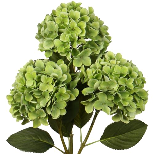 Green #3