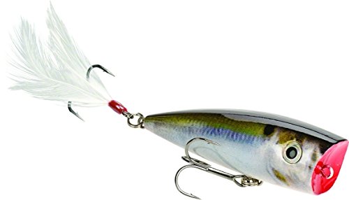 Natural Shad