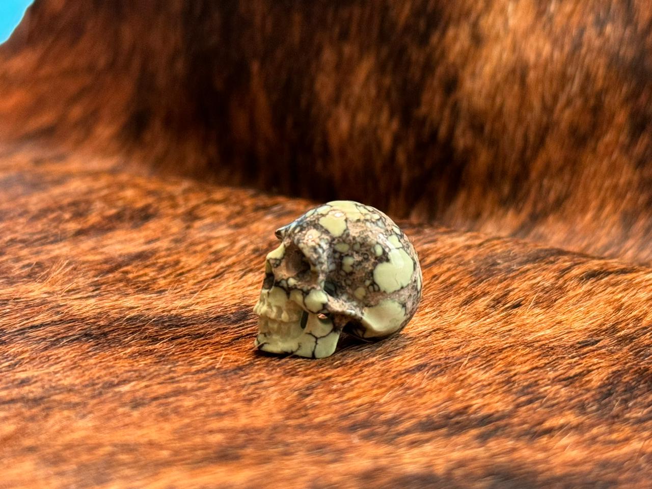 Landen Turquoise Skull Decor - Handcrafted Resin Art Piece for Home, Office & Gothic Decor | Unique Gift for Halloween, Birthday & Collectors