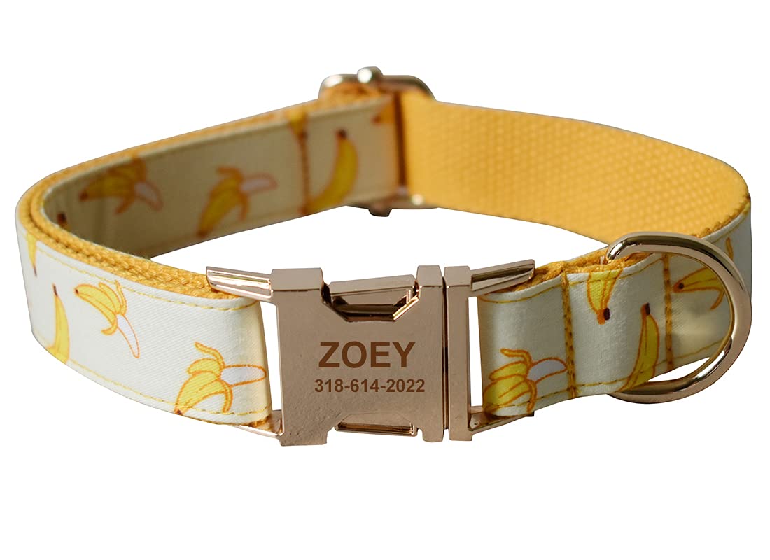 Personalized Dog Collar with Name & Phone - Small to Large Pets for Daily Walks & ID Safety