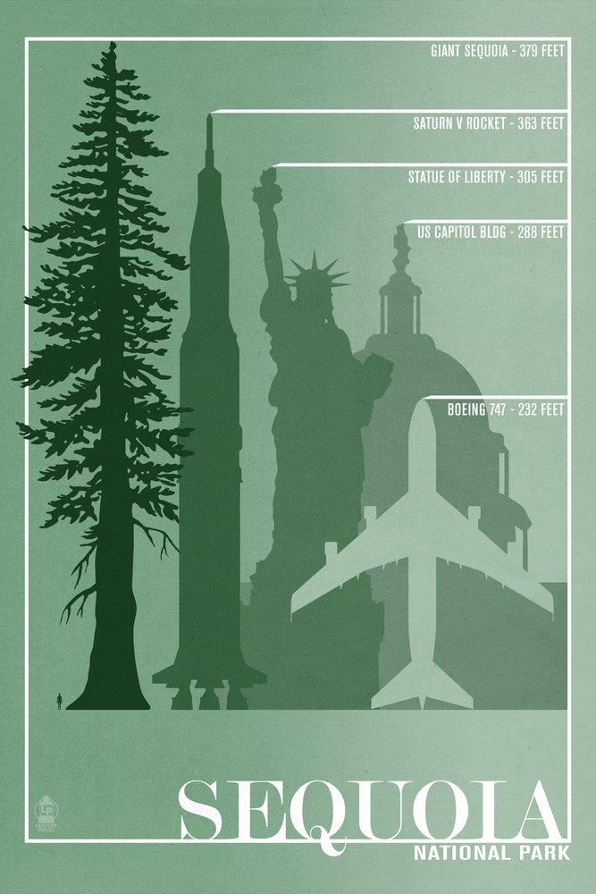 Sequoia National Park Redwood Tree Size Comparison - 12x18 Inch Wall Art Poster for Home & Office Decor | Perfect for Nature Lovers, Hiking Enthusiasts & National Park Fans