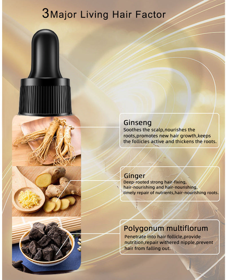 Premium Hair Growth Oil for Thicker & Longer Hair - Natural Essential Oil Treatment for Hair Care & Scalp Health - Perfect for Daily Use, Styling & Hair Loss Prevention
