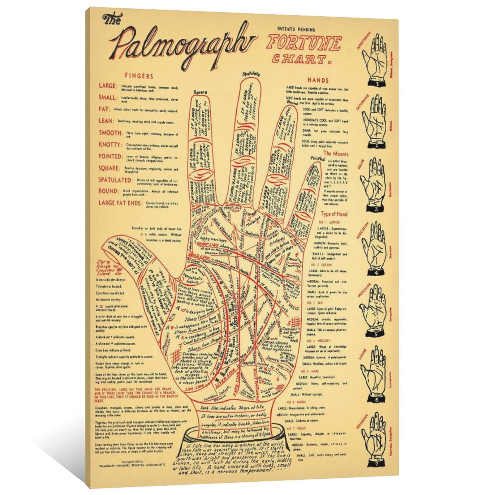 Vintage Palmistry Chart Fortune Telling Poster - 5 Sizes Canvas Wall Art for Living Room & Bedroom Decor (12x18inch/30x45cm Framed) - Perfect for Home Decor, Psychic Readings & Spiritual Spaces