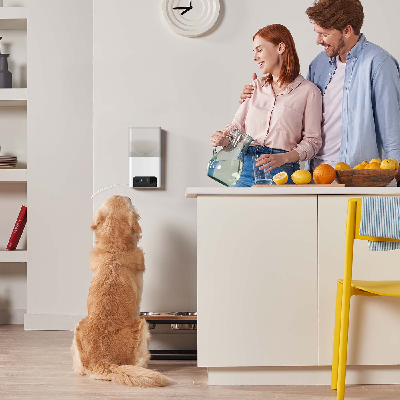Petcube Bites 2 Lite - WiFi Pet Camera with 2-Way Audio, Automatic Treat Dispenser & Night Vision for Dogs & Cats - Monitor & Play with Pets Remotely at Home or Office