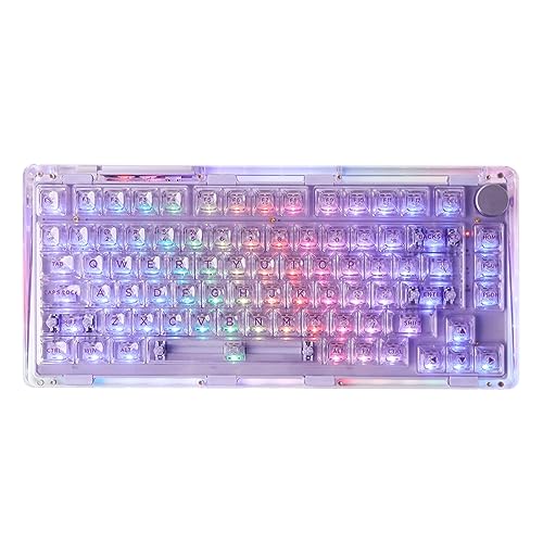 Phantom 81 V2 Purple