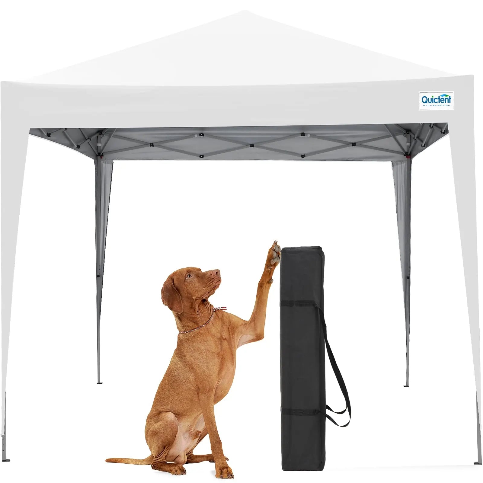 10' x 10' EZ Up Pop Up Canopy Tent with No Side Walls - Instant Shelter for Outdoor Events, Camping, Beach, Backyard Parties & Farmers Markets