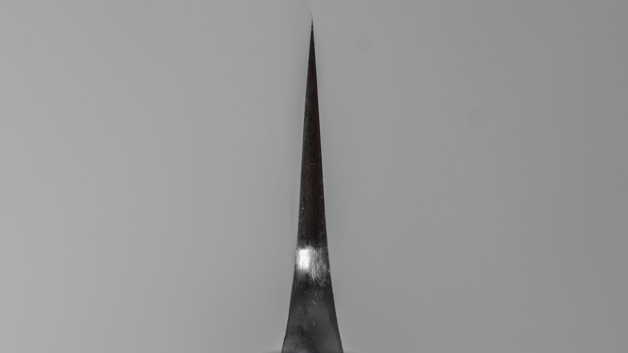 Jiro Tsuchime Wa Sujihiki 240mm Japanese Slicing Knife with Taihei Tagayasan Handle (#343) - Perfect for Sushi, Sashimi & Meat Carving