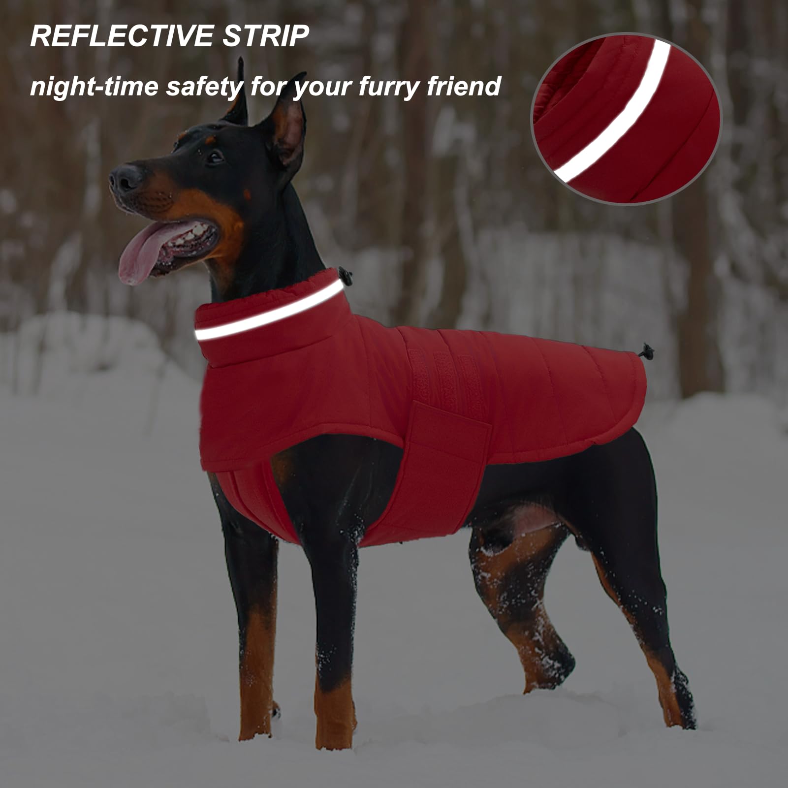Waterproof & Windproof Dog Winter Coat - Reflective Adjustable Turtleneck Jacket for Small Medium Large Dogs - Warm Cold Weather Snow Jacket for Outdoor Walking, Hiking & Winter Adventures